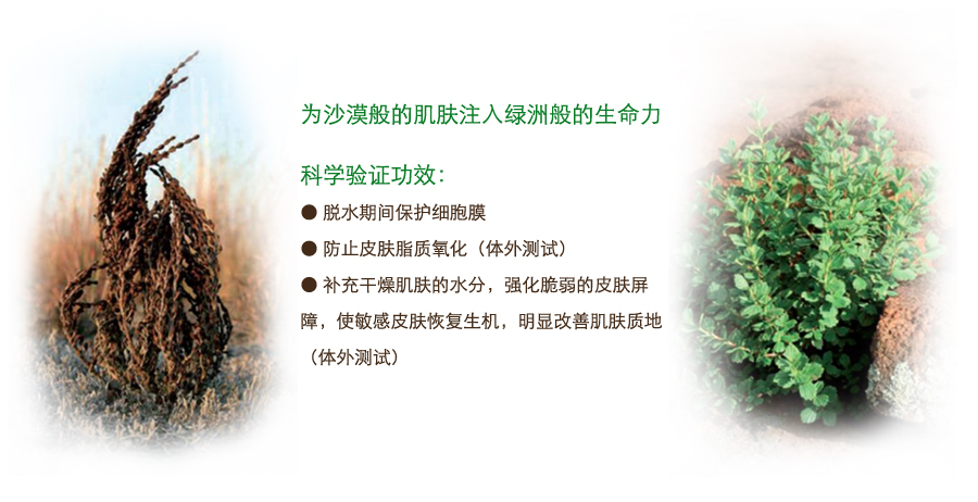 廣州仙施生物科技有限公司